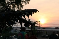 ArtCarSunday2005 002 